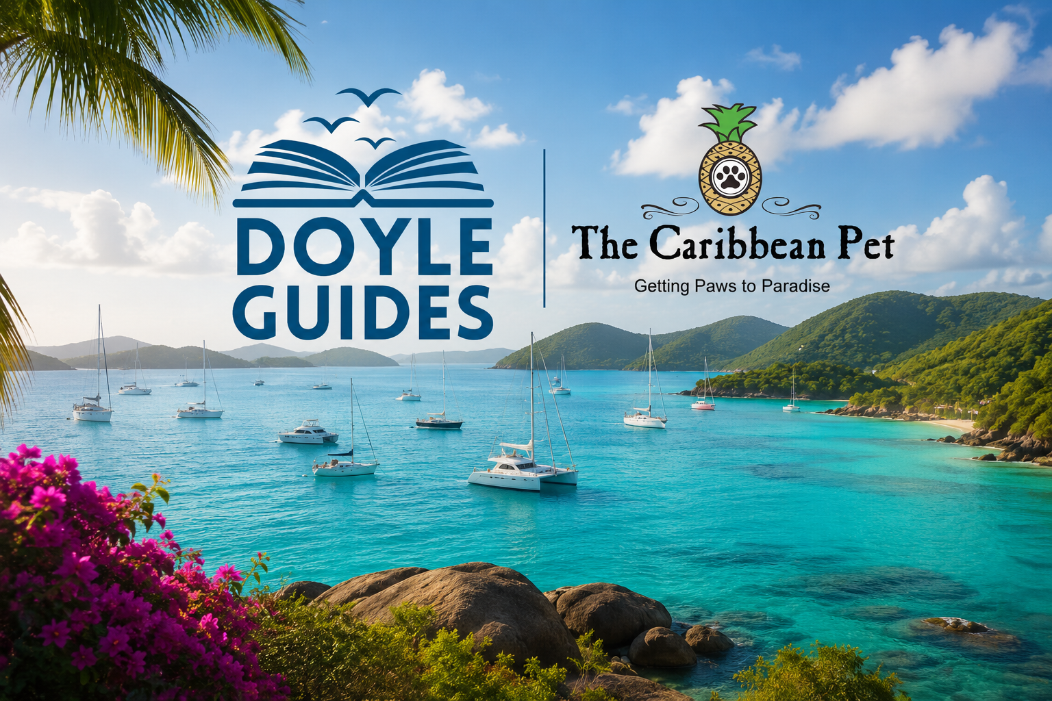 Doyle Guides and The Caribbean Pet Guide overlooking a Caribbean anchorage